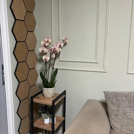 Sweet * تيرانا